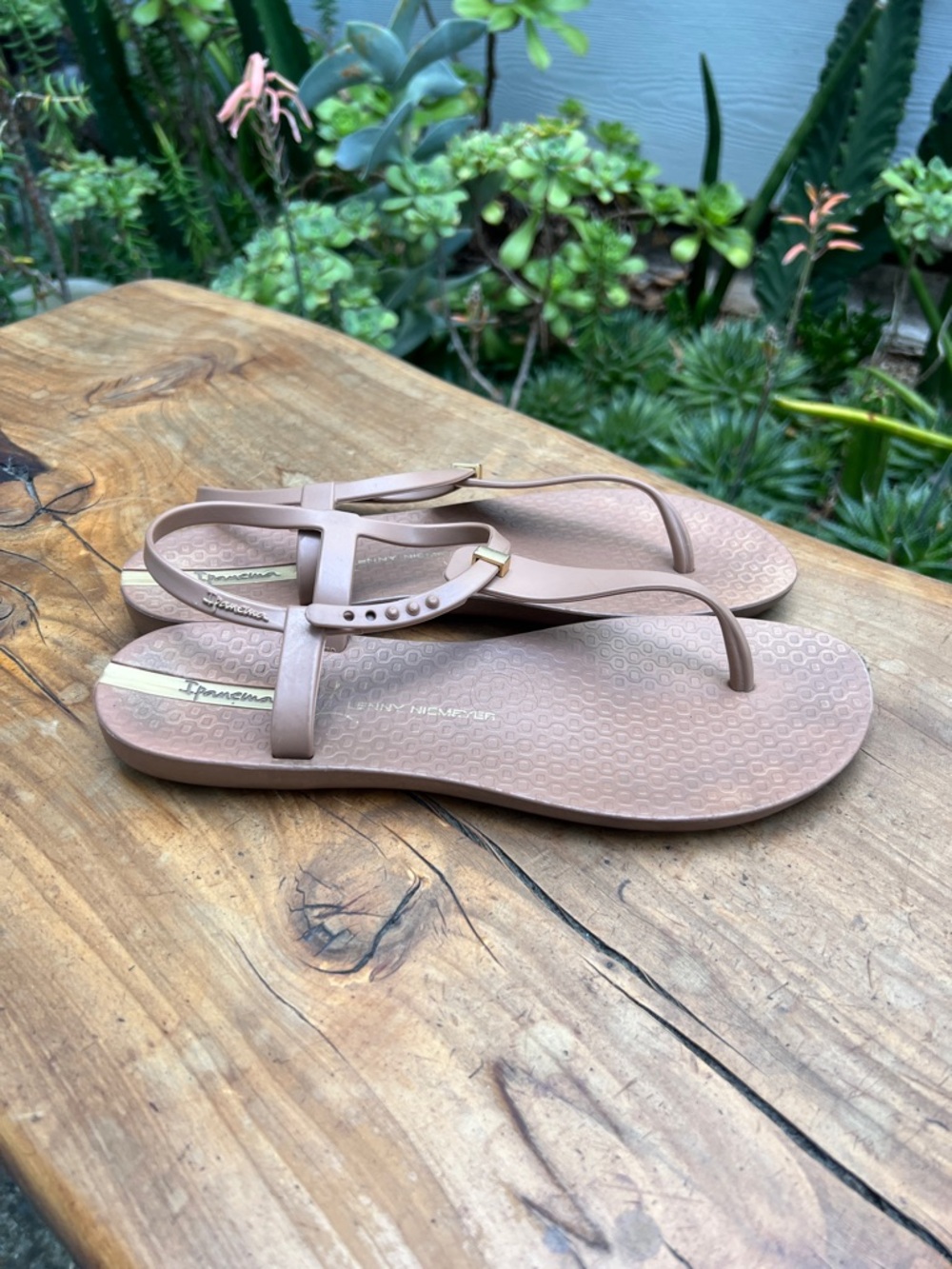 Ipanema Women’s T-Strap Sandals in Blush Pink with Gold Accent